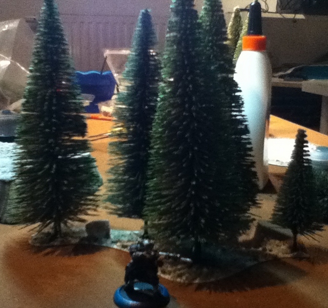 IMG_0083 (640x601).jpg